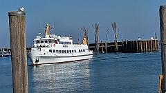 Sylt (139)